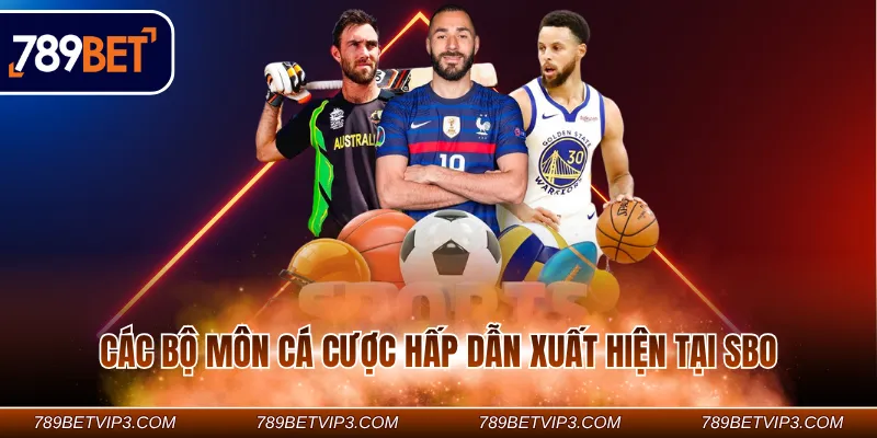 Các bộ môn cá cược hấp dẫn xuất hiện tại SBO